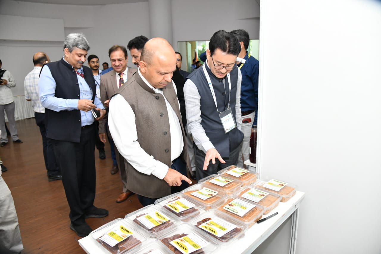 National Workshop -6